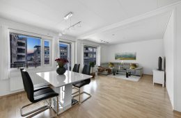 Strømsø -Lekker, moderne 2-roms med garasjeplass, heis, overbygd balkong med fin elveutsikt. Sentralt med nærhet til tog!