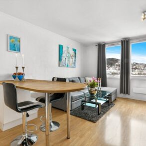 Strømsø / Drammen Arealeffektivt 1-roms leilighet med elveutsikt – Heis – Felles takterrasse – Gangavstand til alt.