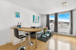 Strømsø / Drammen Arealeffektivt 1-roms leilighet med elveutsikt – Heis – Felles takterrasse – Gangavstand til alt.