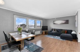 Strømsø sentrum / Drammen Lekker 2-roms selveier – Heis – Innglasset balkong – Praktfull utsikt – 9 etg – Supersentralt med nærhet til togstasjon!