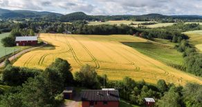 Bitehagen/Røyken- Landlig beliggende enebolig o/2 plan m/stor tomt og barnevennlig beliggenhet. Nyt vakker utsikt over koselig åkerlandskap. Sol fra morgen til kveld i hagen. Innredet U.etg. med utgang til hage. Stort potensial. 2 stuer. 2 kjøkken. 2 bad!